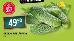 Terno Okurky nakládačky nabídka
