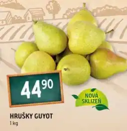 Terno HRUŠKY GUYOT nabídka