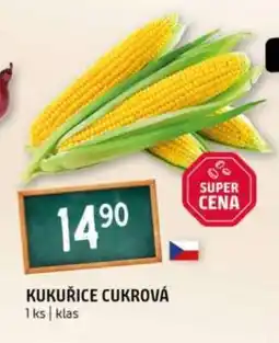 Terno Kukuřice cukrová nabídka