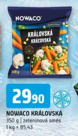 Terno NOWACO KRÁLOVSKÁ nabídka