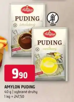 Terno Amylon Puding nabídka