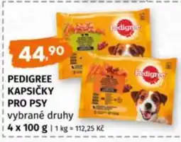 Terno Pedigree kapsičky pro psy nabídka