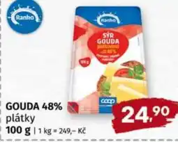 Trefa Gouda 48% plátky nabídka