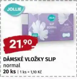Terno DÁMSKÉ VLOŽKY SLIP nabídka