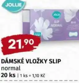 Trefa Dámské vložky slip normal nabídka