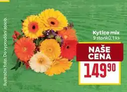 Billa Kytice mix 9 stonku, 1 ks nabídka