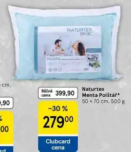 Tesco Naturtex Menta Polštář 50 x 70 cm, 500 g nabídka