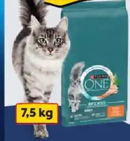 Albert Purina ONE Granule pro kočky nabídka