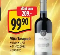 Albert Viña Tarapacá nabídka