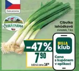 Billa Cibulka lahůdková nabídka