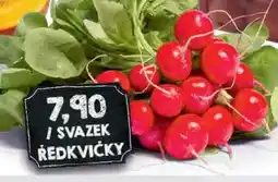 Jip Ředkvičky nabídka