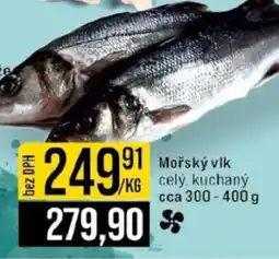 Jip Mořský vlk nabídka