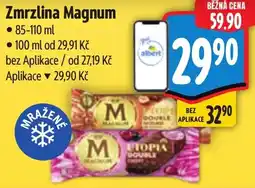 Albert MAGNUM Zmrzlina nabídka