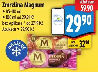 Albert MAGNUM Zmrzlina nabídka