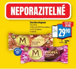 Albert MAGNUM Zmrzlina magnum nabídka