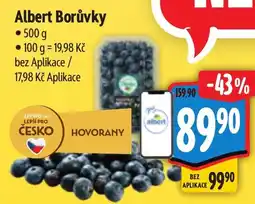 Albert Albert borůvky nabídka