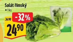 Albert Salát římský nabídka