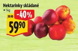 Albert Nektarinky skládané nabídka