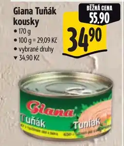 Albert GIANA Tuňák kousky nabídka