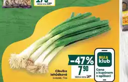 Billa Cibulka lahůdková nabídka
