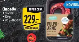 Albert Chapadlo nabídka