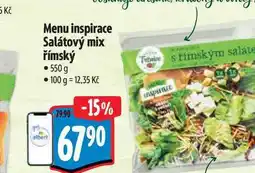 Albert t Menu inspirace Salátový mix římský 550 g nabídka