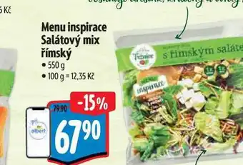 Albert t Menu inspirace Salátový mix římský 550 g nabídka