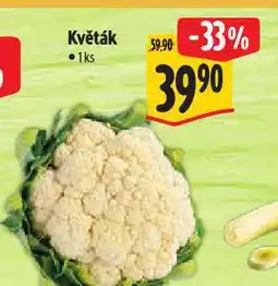 Albert Květák nabídka