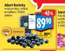Albert Borůvky nabídka