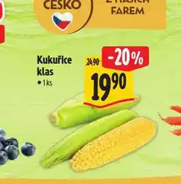 Albert Kukuřice klas nabídka