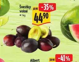Albert Švestky nabídka