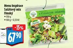 Albert Menu inspirace salátový mix římský nabídka