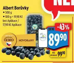 Albert Borůvky nabídka