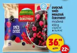 Penny Market OVOCNÁ SMĚS MRAZIVÁ ČERSTVOST mražená, 450 g nabídka
