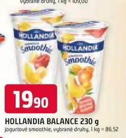 Trefa HOLLANDIA BALANCE 230 g nabídka