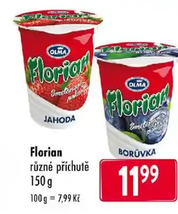 Qanto OLMA Florian nabídka