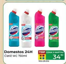 Tamda Foods Domestos 24H Čistič WC 750ml nabídka
