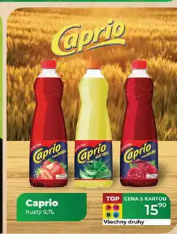 Tamda Foods Caprio hustý 0,7L nabídka