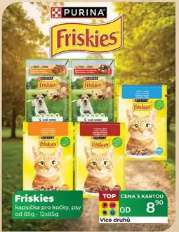 Tamda Foods Friskies kapsička pro kočky, psy od 85g - 12x85g nabídka