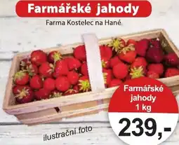 Konzum Farmářské jahody nabídka