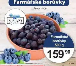 Konzum Farmářské borůvky nabídka