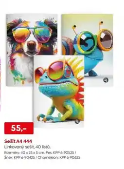 Pompo Sešit A4 444 nabídka