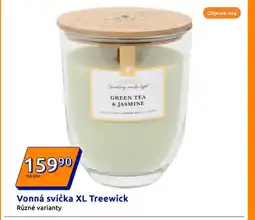 Action Vonná svíčka XL Treewick nabídka