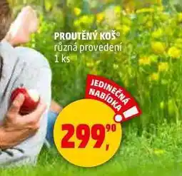 Penny Market PROUTĚNÝ KOŠ různá provedení, 1 ks nabídka
