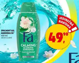 Penny Market SPRCHOVÝ GEL GARDENIA FA, 400 ml nabídka