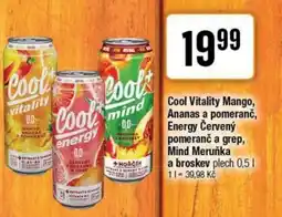 TEMPO Cool Vitality Mango, Ananas a pomeranč, Energy Červený pomeranč a grep, Mind Meruňka a broskev nabídka