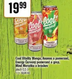 TEMPO Cool Vitality Mango, Ananas a pomeranč, Energy Červený pomeranč a grep, Mind Meruňka a broskev nabídka