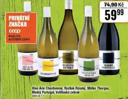 TEMPO Víno Árie Chardonnay, Ryzlink Rýnský, Müller Thurgau, Modrý Portugal, Veltlínské zelené nabídka