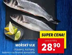 Lidl Mořský vlk nabídka
