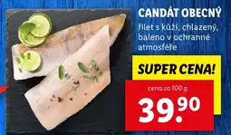Lidl Candát obecný nabídka